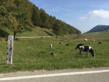 Tn Bild  (21)